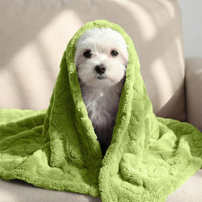 Tegeme 3 Pcs Small Dog Blanket 280 GSM Washable Pet Bed Cover Soft Fluffy Puppy - Image 5