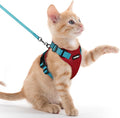rabbitgoo Cat Harness and Leash by rabbitgoo