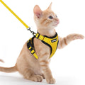 rabbitgoo Cat Harness and Leash by rabbitgoo