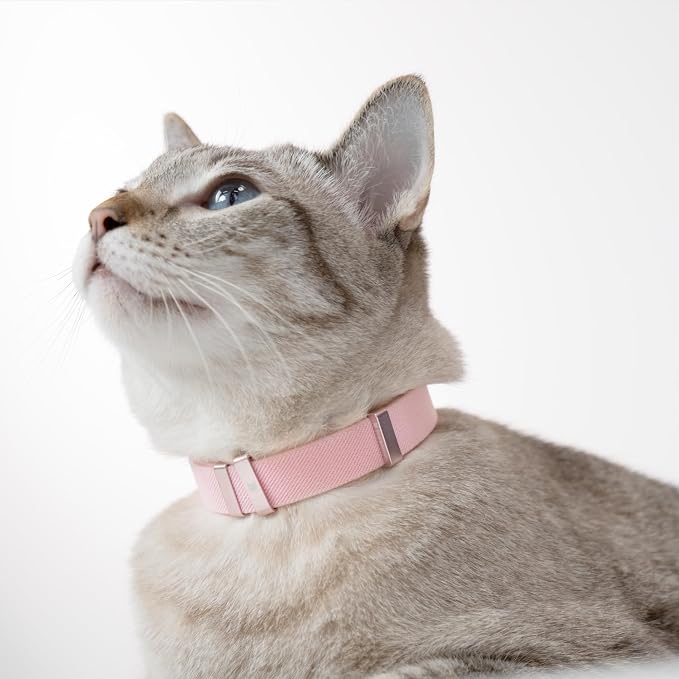 Safety Cat Collar - Image 3