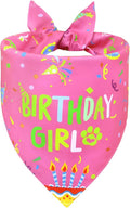 Dog Birthday Bandana Girl for Medium Large Dogs, Reversible 2 Patterns in 1 by WoffBow