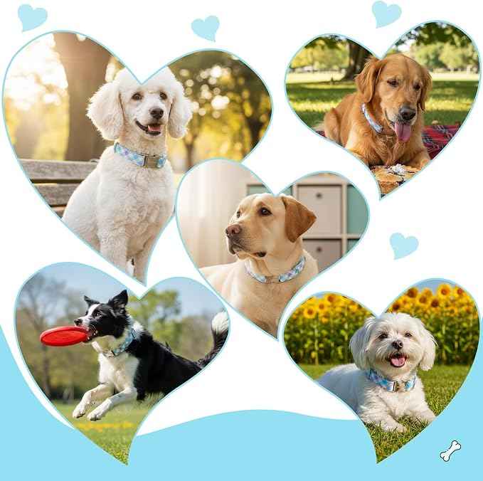 Cotton Collar for Dog，Soft Adjustable Dog Collars for Medium Dogs, Cute Dog