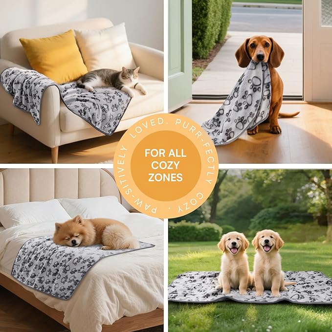 Luciphia 1 Pack 6 Dog Blankets Cat Soft Fluffy Fleece Pet Blanket Warm Cute - Image 3
