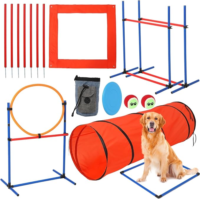 Garvee Dog Agile Training Equipment Set Outdoor Indoor, Weave Poles, Pause Box by Garvee