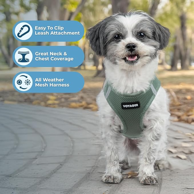 Best Pet Supplies - Image 2