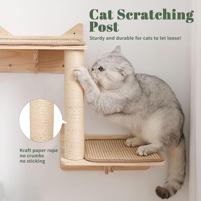 Cat Wall Shelves Set – Wall Mounted Cat Furniture - Image 5