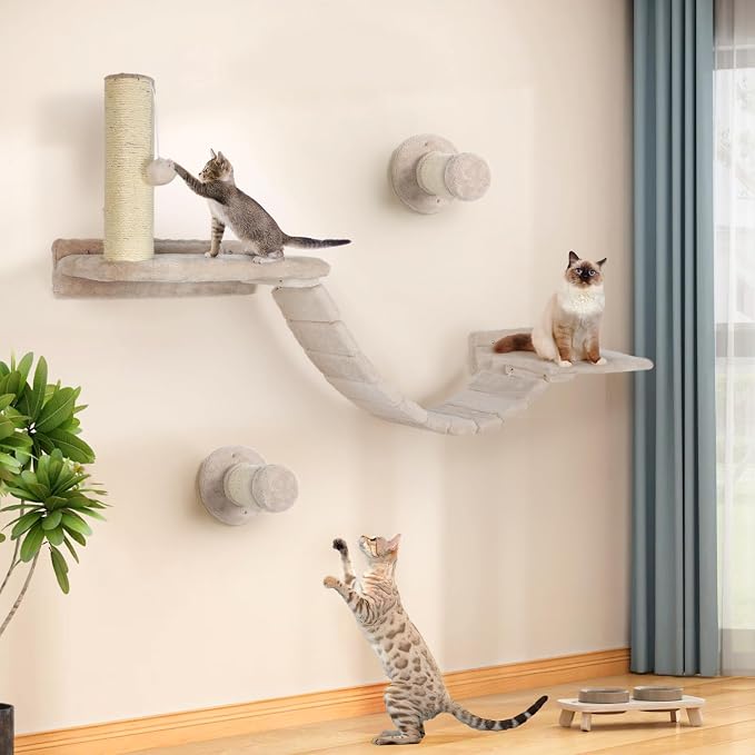 Cat Wall Shelves Climber Systems, Bridge Ladder, Wooden Platform and Hanging by HDLKRR