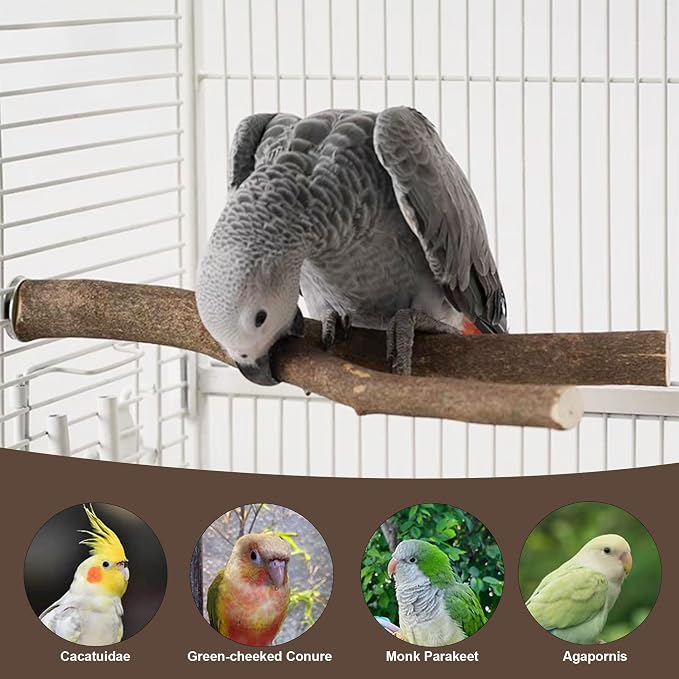 6 PCS Bird Perch Set, Natural Birch Wood Straight & Forked Perches - Image 8