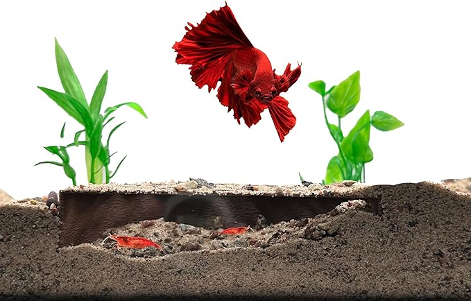 Shrimp Breeding Protector | Shrimp Breeding Cave Aquarium Tunnel | CTWPets by CTWPets