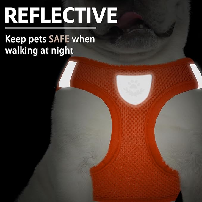 PUPTECK Adjustable Dog Harness Collar and Leash Set Step in No Pull Pet Harness - Image 5