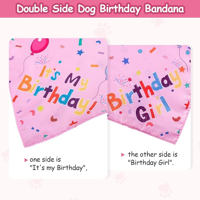 Dog Boy Girl Birthday Party Hat, Dog Birthday Party Supplies, Doggie Birthday - Image 5
