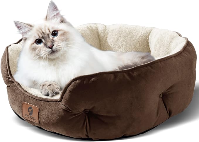 Asvin Small Dog Bed for Small Dogs, Cat Beds for Indoor Cats, Pet Bed for Puppy - Image 2