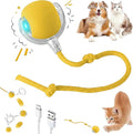 Interactive Electric Automatic Rolling Moving Rechargeable Self Play by Unknown