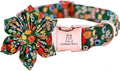 Lionheart Glory Cute Floral Pattern Pet Collar by LionheartGlory