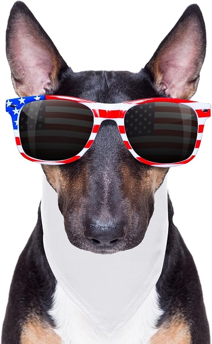 24 Pieces Sublimation Pet Bandanas White Heat Transfer Triangle Dog Scarf Blank - Image 6