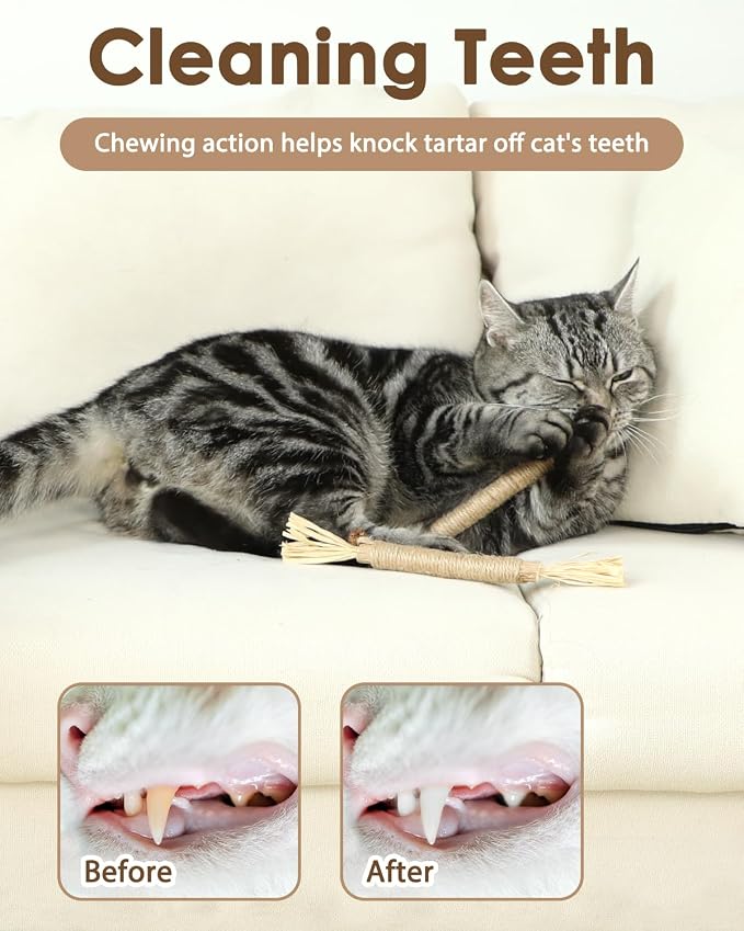 Tocirelo Silvervine Sticks Cat Toys - Image 3