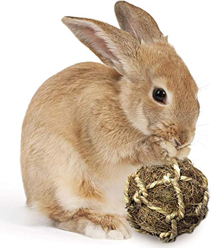 SunGrow Assorted Rabbit & Cat Chew Balls, Teething Activity Toy - Image 8