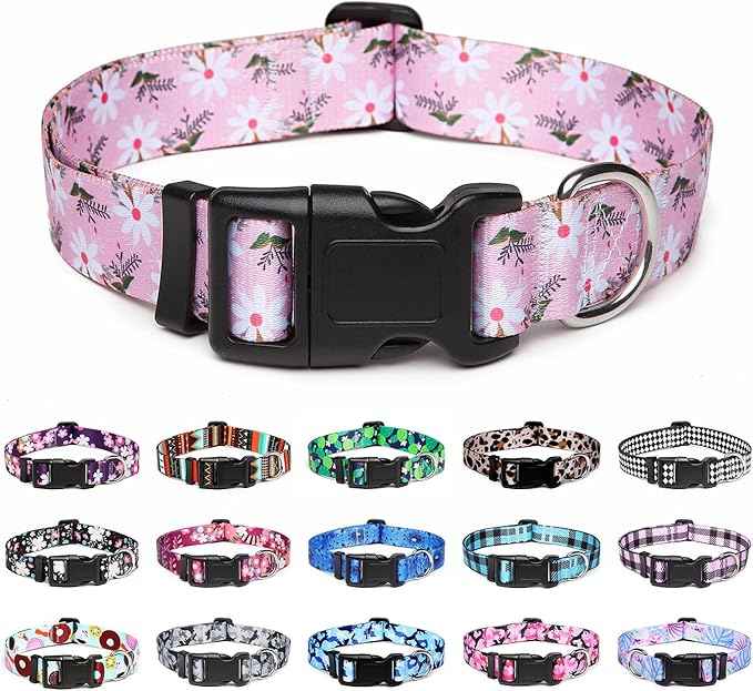 Mercano Adjustable Dog Collar