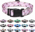 Mercano Adjustable Dog Collar