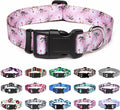 Mercano Adjustable Dog Collar by Unknown