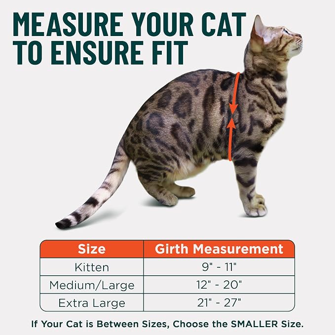 Houdini™ Escape Proof Kitten Harness and Leash Set by OutdoorBengal – Red - Image 5