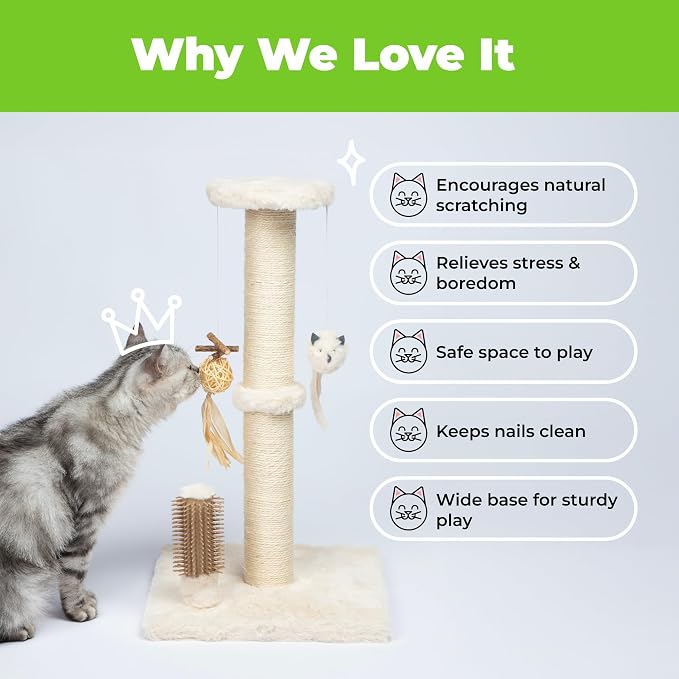 Best Pet Supplies Catify Cat Scratcher, Fun Interactive Scratchers, Claw Safe - Image 6