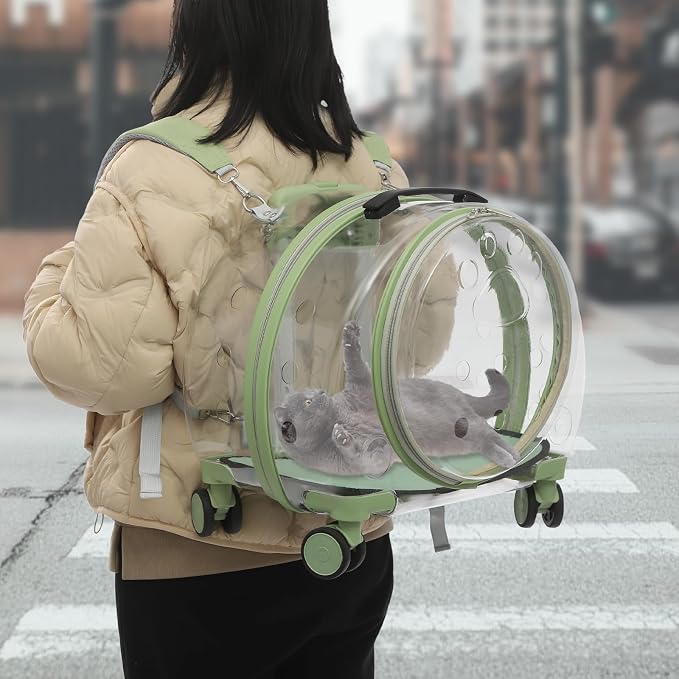 Transparent & Fully Breathable Hard Cat Carrier - Image 7