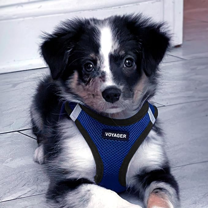 Best Pet Supplies Voyager Step-in Air All Weather Mesh Harness and Reflective - Image 8