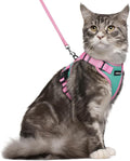 rabbitgoo Cat Harness and Leash Set, Escape Proof Soft Adjustable Vest Harnesses by rabbitgoo