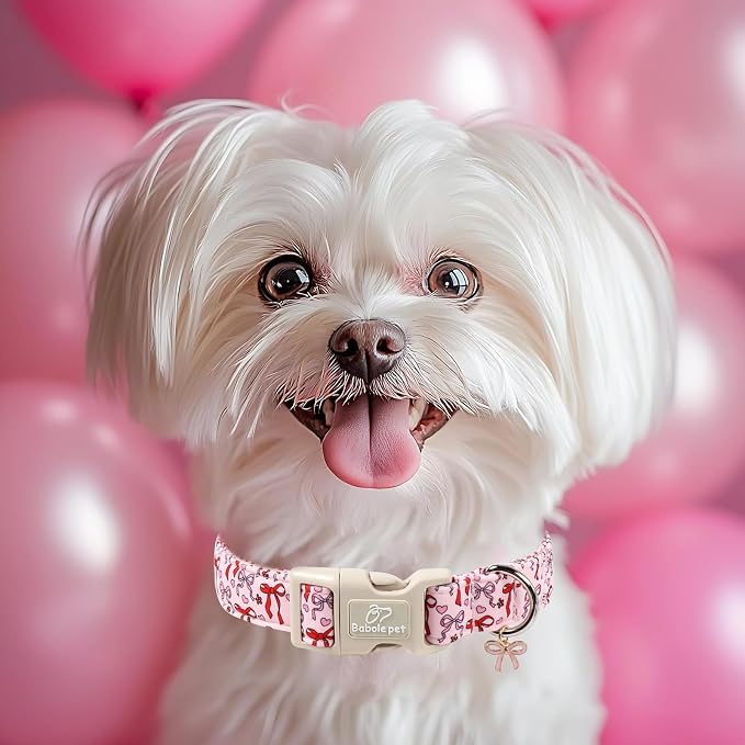 Girl Dog Collar for Large Dogs - Image 7