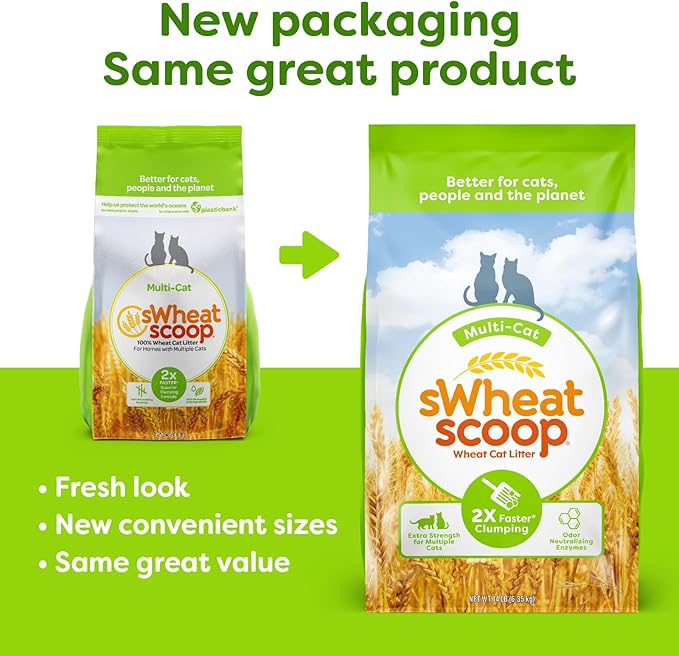 sWheat Scoop Natural Wheat Multi-Cat Litter, Superior Clumping - Image 3