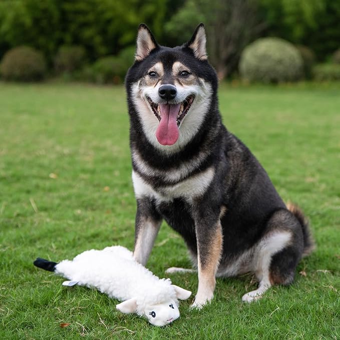 Best Pet Supplies Squeaky Dog Toys - Image 6