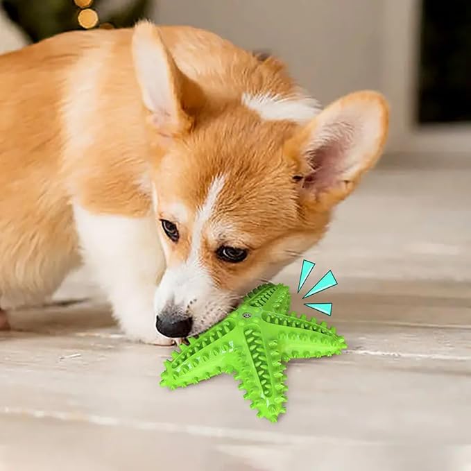 Chew Toy for Dog Toothbrush Stick Dog Toys for Aggressive Chewers Interactive - Image 2