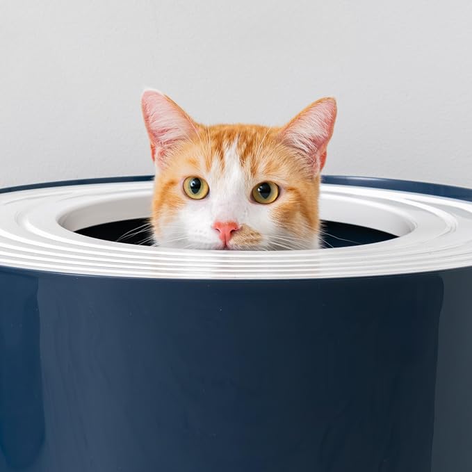 IRIS USA Cat Litter Box, Large Top Entry - Image 7