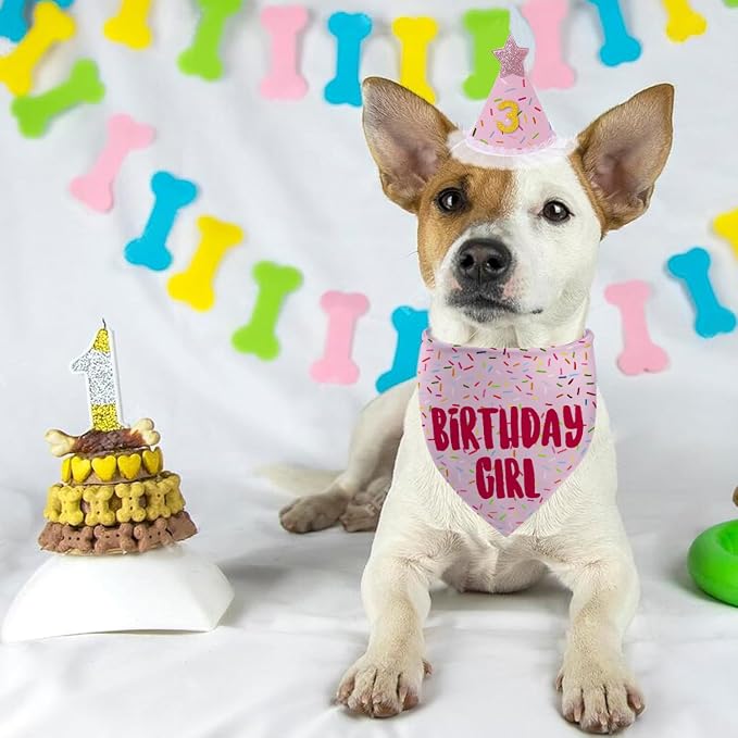 Dog Birthday Bandana Set, Light Pink Birthday Girl Decorations, HBD Party - Image 5