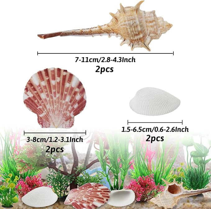 Aquarium Plants with Natural Decorations Shells - Image 3