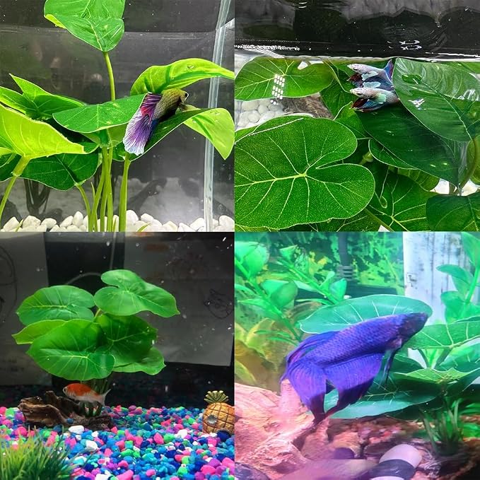 Smoothedo-Pets Fish Tank Decor Aquarium Decorations Ornaments Betta Leaf pad - Image 6