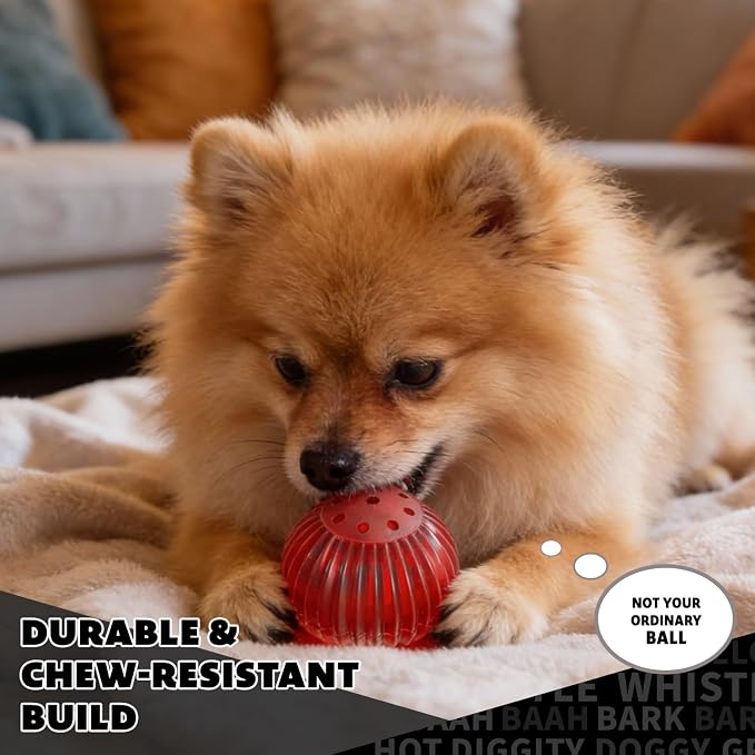 Pet Qwerks Blinky Babble Ball - Image 6