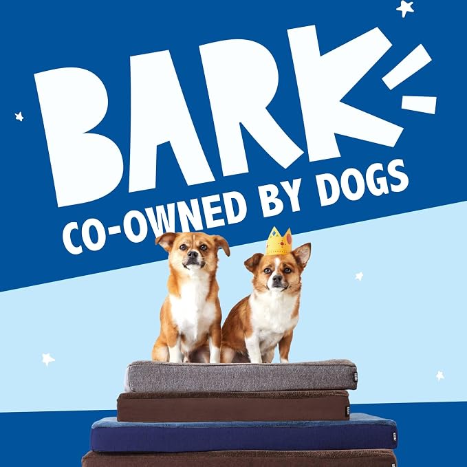 Barkbox Orthopedic Dog Bed | Comfortable Memory Foam Mattress - Image 6