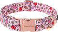 Unique style paws Valentine's Dog Collar Metal Buckle Puppy Collar XO Red Lips
