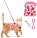 PUPTECK Soft Mesh Cat Vest Harness and Leash Set Puppy Padded Pet Harnesses by PUPTECK