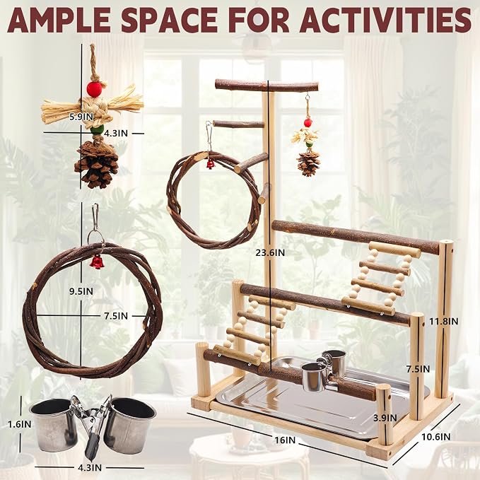 ‌Bird Playground, Natural Wooden Parrot Stand - Image 2