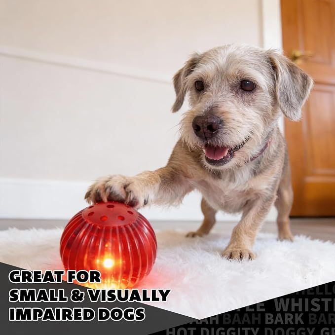 Pet Qwerks Blinky Babble Ball - Image 4
