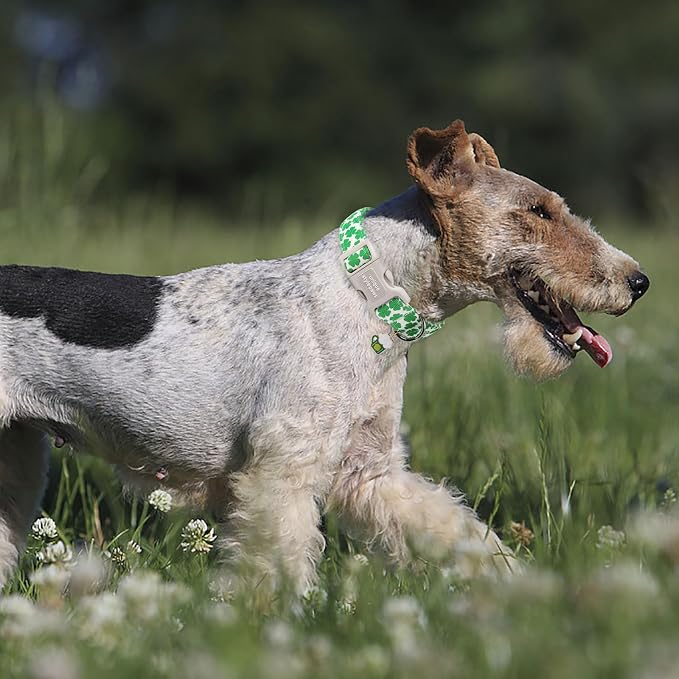 Unique style paws St. Patrick's Dog Collar Plastic Buckle Puppy Collar - Image 5
