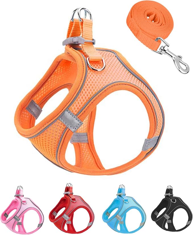 XS Orange Soft Mesh Dog Harness and Leash Set, No Escape Puppy Harnesses by Unknown