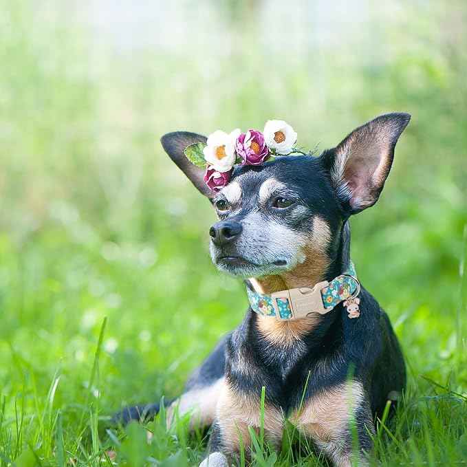 DOGWONG Easter Dog Collar, Cute Flower Bunny Eggs Dog Collar Pink Pet Collar