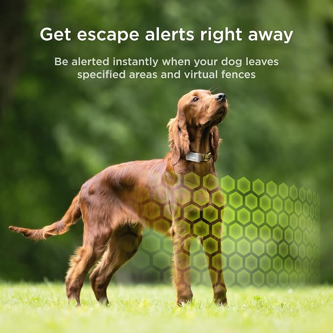 Petcube GPS Tracker for Dogs – Real-Time Location Tracking, Escape Alerts & - Image 3