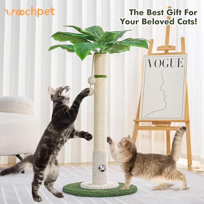 Cat Scratching Post for Indoor Cats and Kitten - Image 2