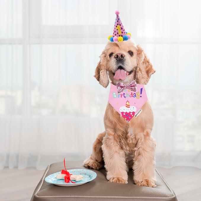 ADOGGYGO Dog Birthday Bandana Scarf and Puppy Girl Birthday Party Hat - Image 2