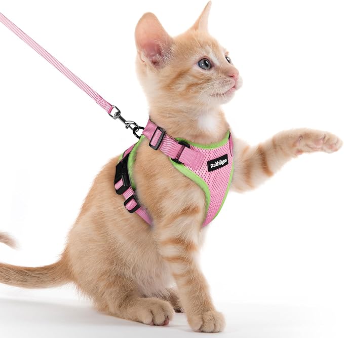 rabbitgoo Cat Harness and Leash by rabbitgoo